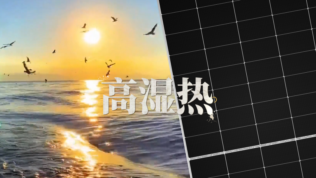 90a313f5596204a82ff2bc01cd68ca79.png 90a313f5596204a82ff2bc01cd68ca79.png