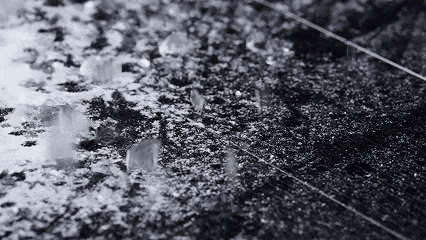 69a83a00cc58bc3a89017d6959be5b12.gif 69a83a00cc58bc3a89017d6959be5b12.gif