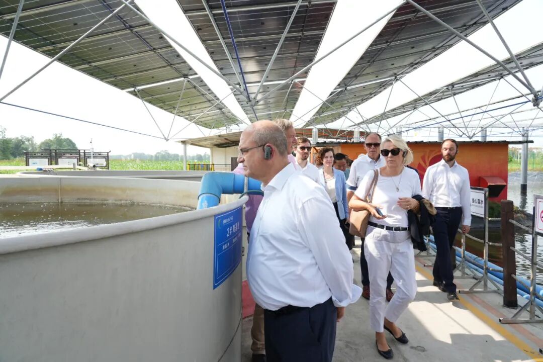 ac41cb6dab3d3af6adaa94ab5aa6fc9a.jpg ac41cb6dab3d3af6adaa94ab5aa6fc9a.jpg